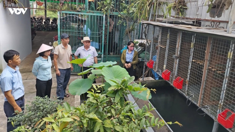 Đắk Lắk: Đồng bào dân tộc thiểu số mong có thêm nguồn lực để phát triển