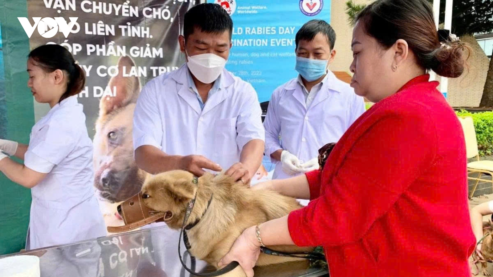 Rabies remains a serious threat in Vietnam, warns expert