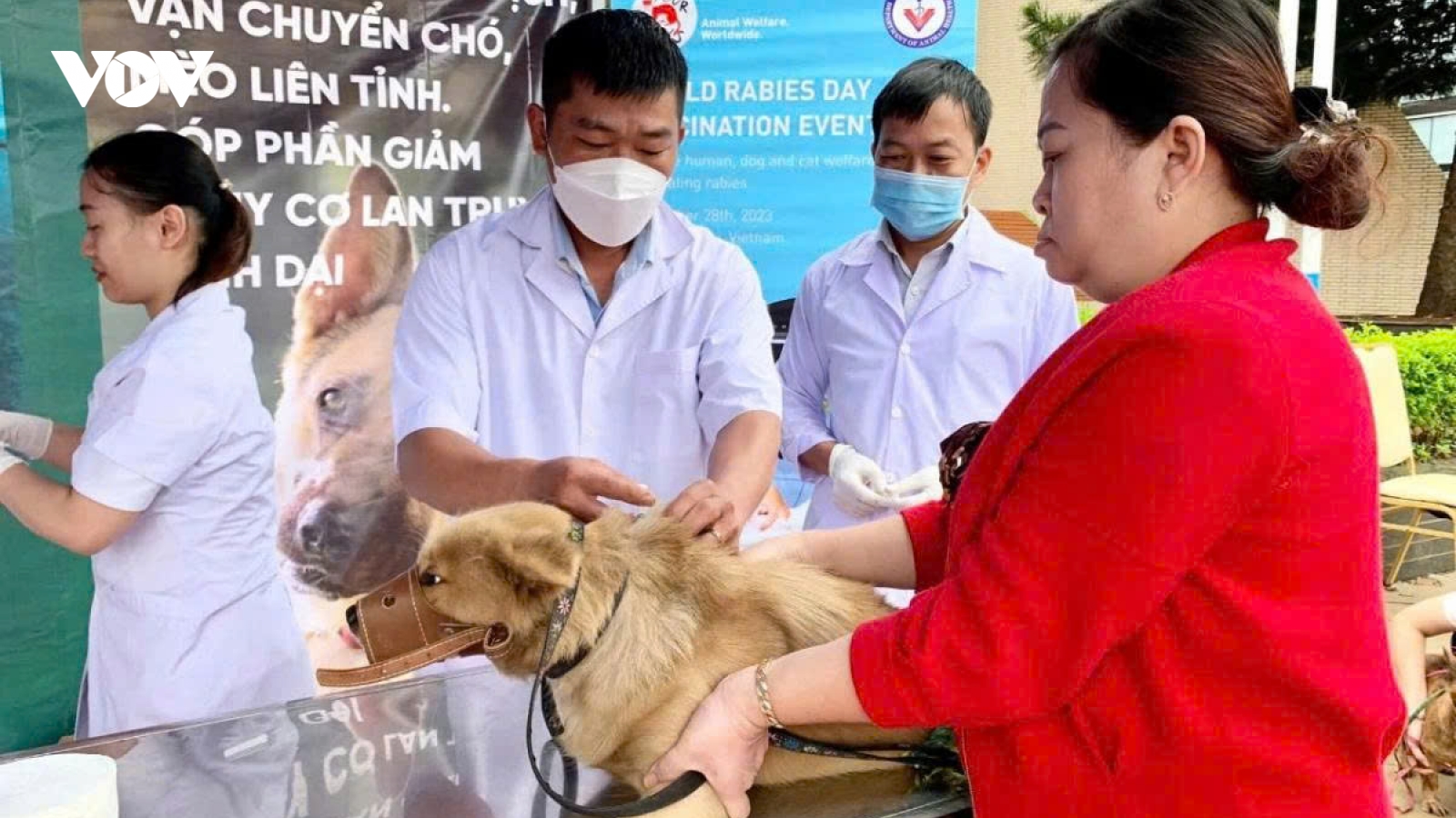 Rabies remains a serious threat in Vietnam, warns expert