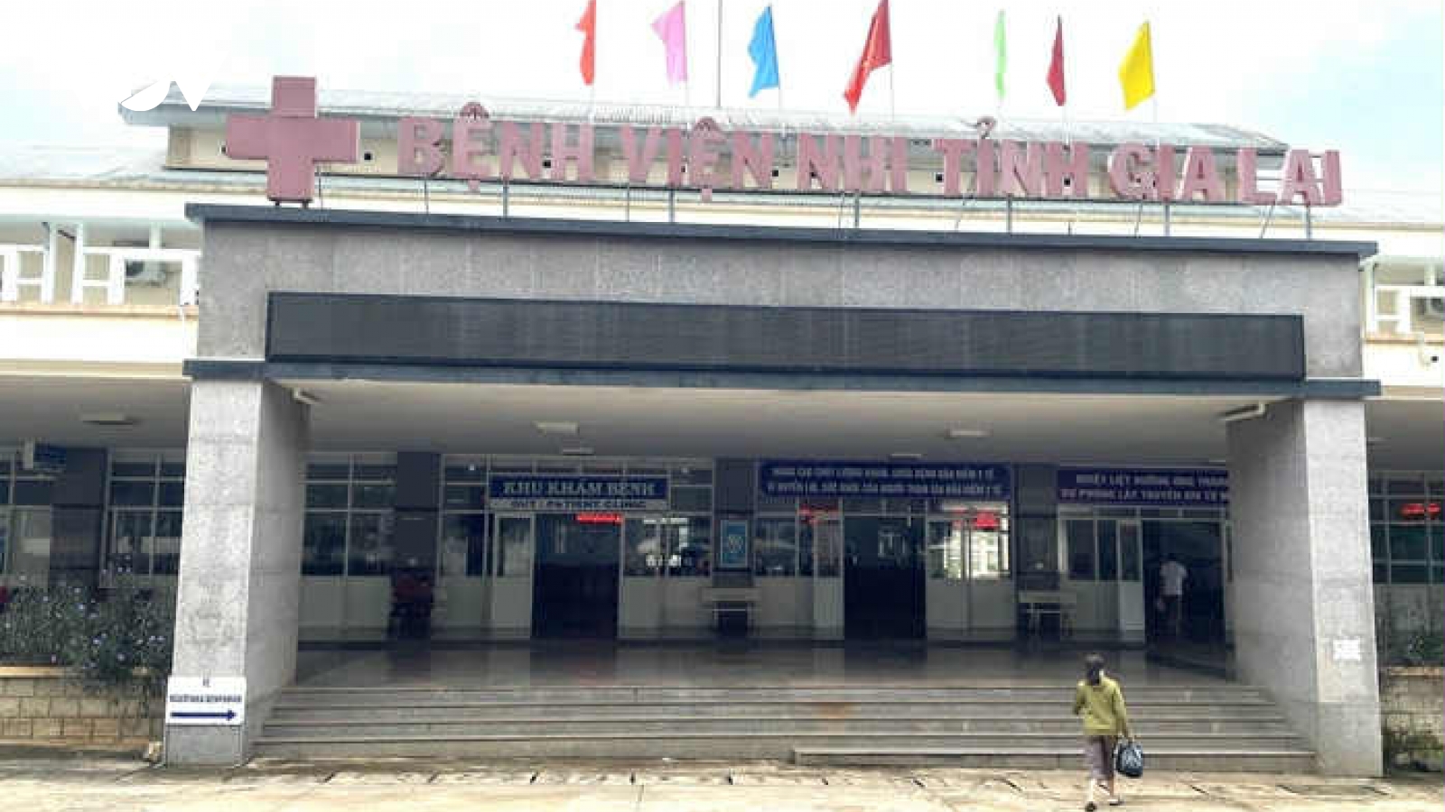 9 trẻ em ở Gia Lai phải nhập viện vì ngộ độc sau khi ăn thịt cóc