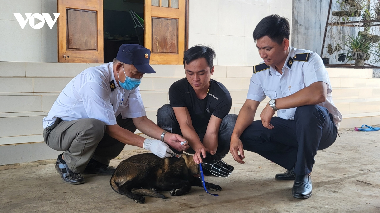 Thêm một trường hợp tử vong nghi do bệnh dại tại tỉnh Đắk Lắk