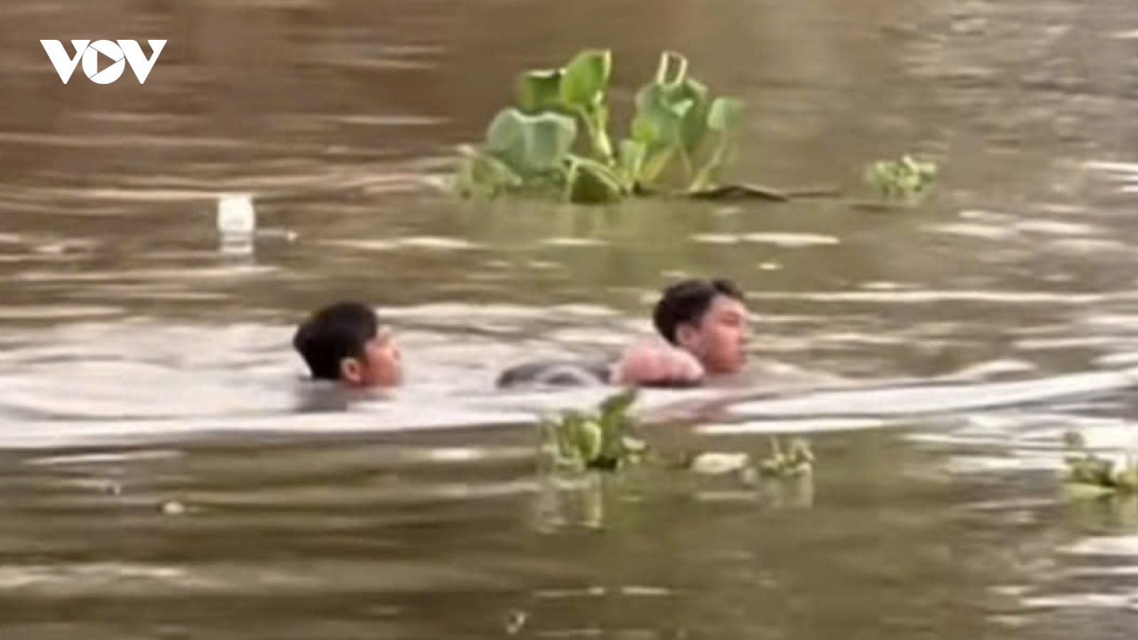 Hai thanh niên dũng cảm bơi ra dòng sông cứu người đuối nước