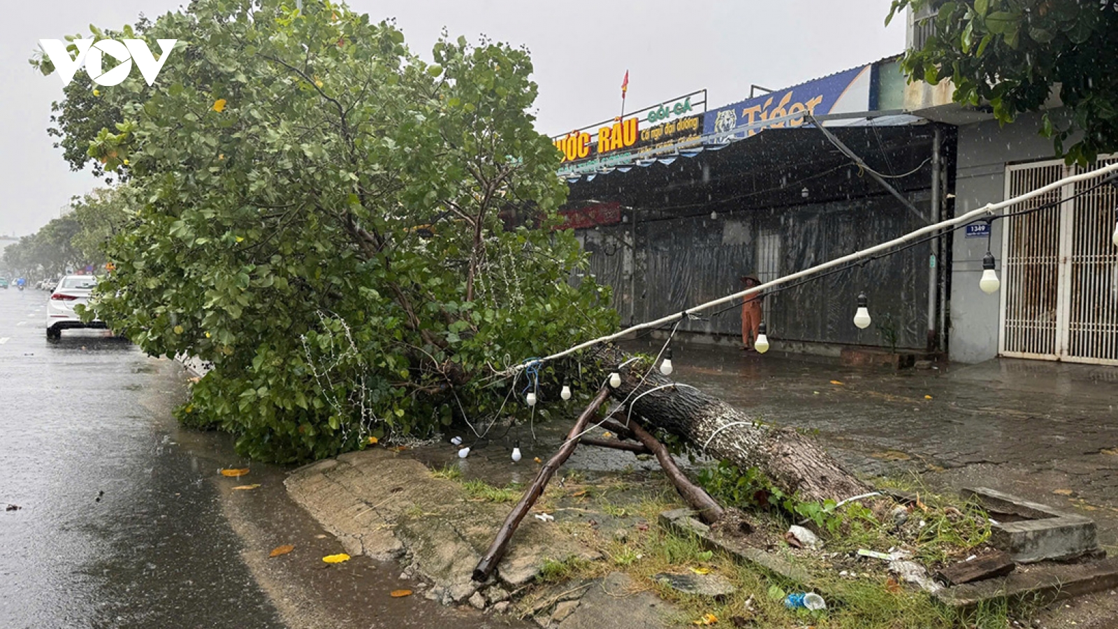 6 người mắc kẹt trong ô tô do bị cây xanh ngã đè ở Đà Nẵng