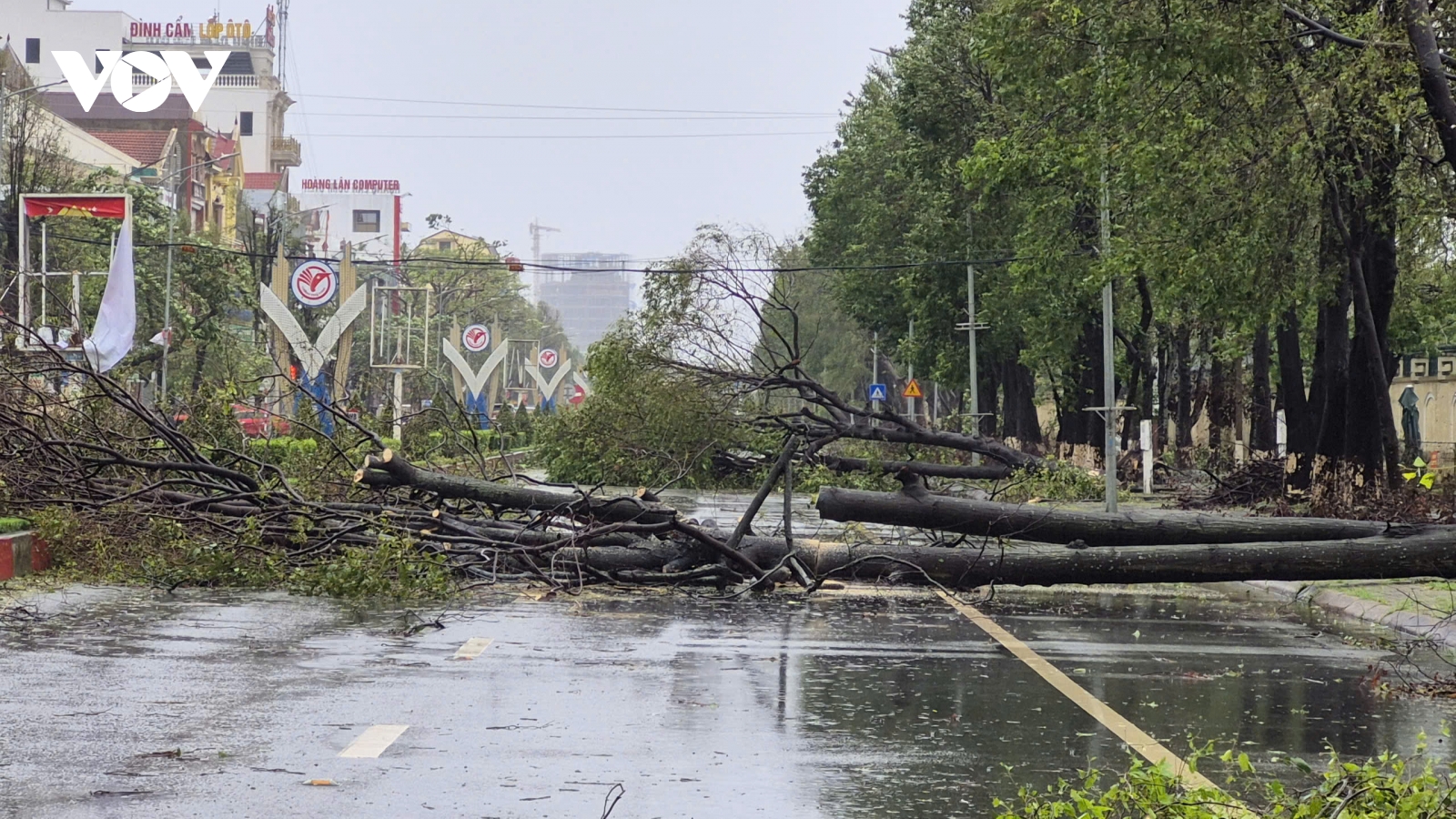 Hơn 100 công nhân thu dọn 6000 cây xanh tại thành phố Vinh (cũ) gãy đổ sau bão số 10