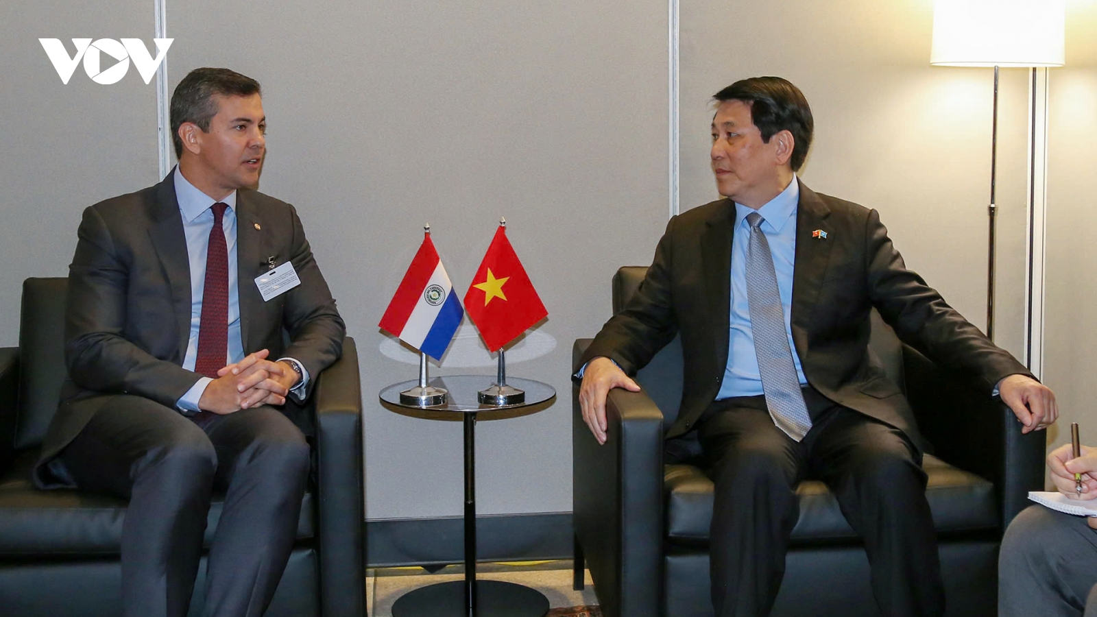 Chủ tịch nước Lương Cường gặp Tổng thống Paraguay Santiago Peña Palacios