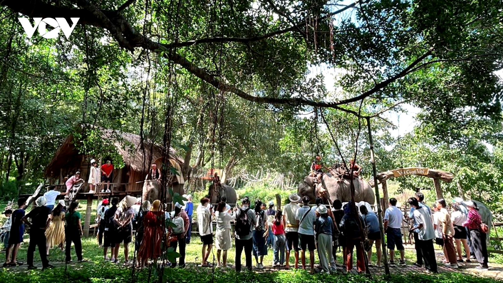 Du lịch Đắk Lắk nhộn nhịp trong dịp nghỉ lễ Quốc khánh