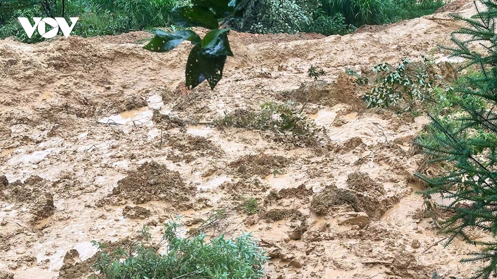 Sạt lở nghiêm trọng tại Lũng Cú: 4 người trong một gia đình mất tích