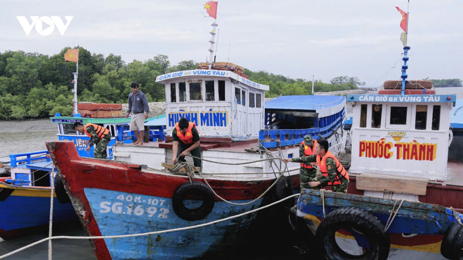 Bão Bualoi tiến vào Biển Đông, TP.HCM đảm bảo an toàn cho gần 1.600 tàu cá