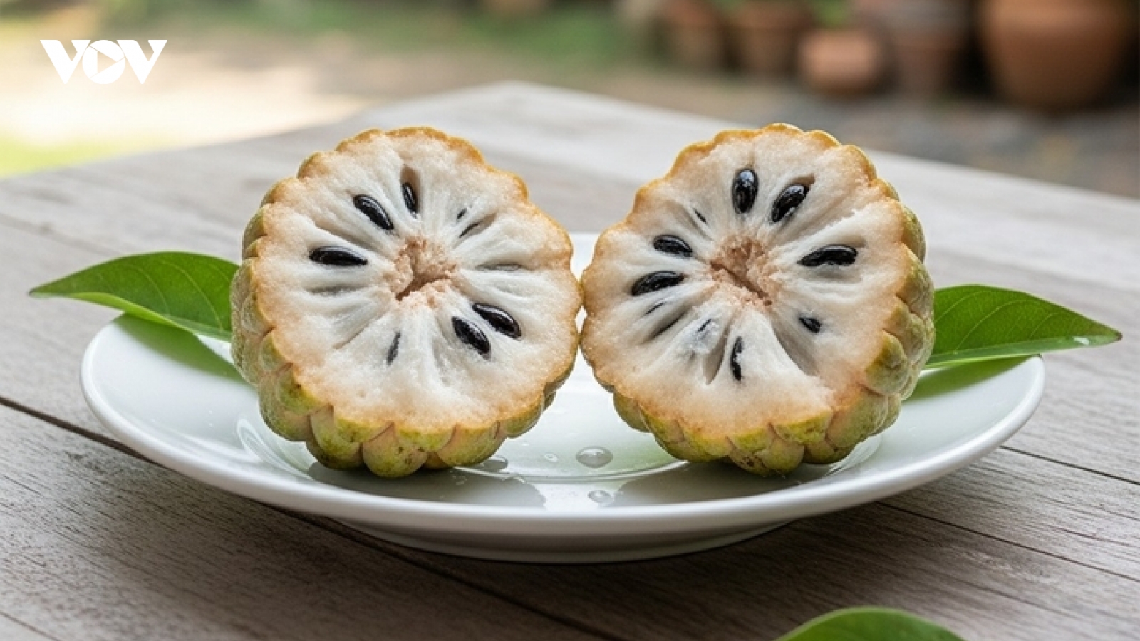 Tại sao nuốt hạt na có thể bị ngộ độc?