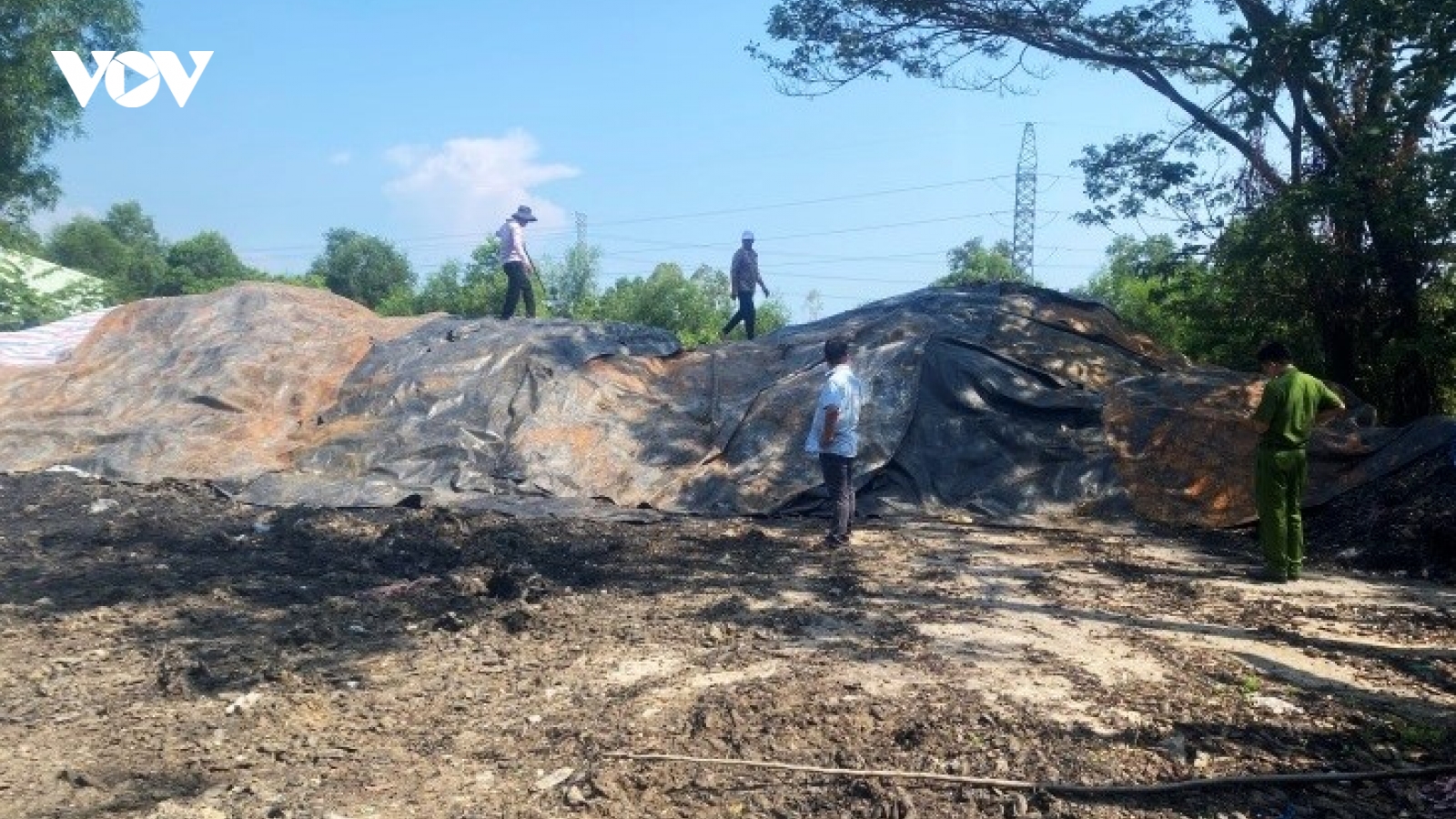 Khởi tố một giám đốc vì gây ô nhiễm môi trường ở An Giang