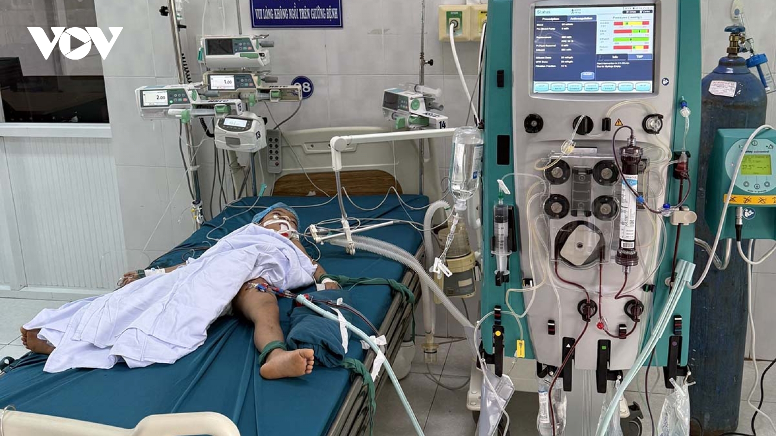 Ong đốt khiến 1 trẻ tử vong, 1 trẻ nguy kịch