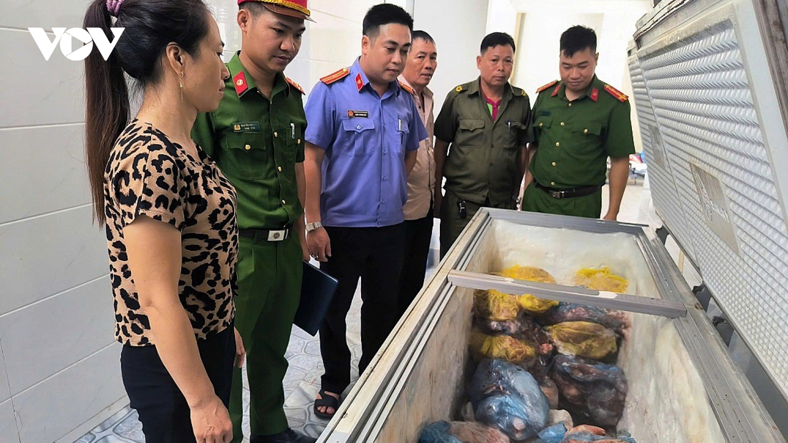 Khởi tố đối tượng bán thịt lợn nhiễm dịch tả châu Phi tại Nghệ An