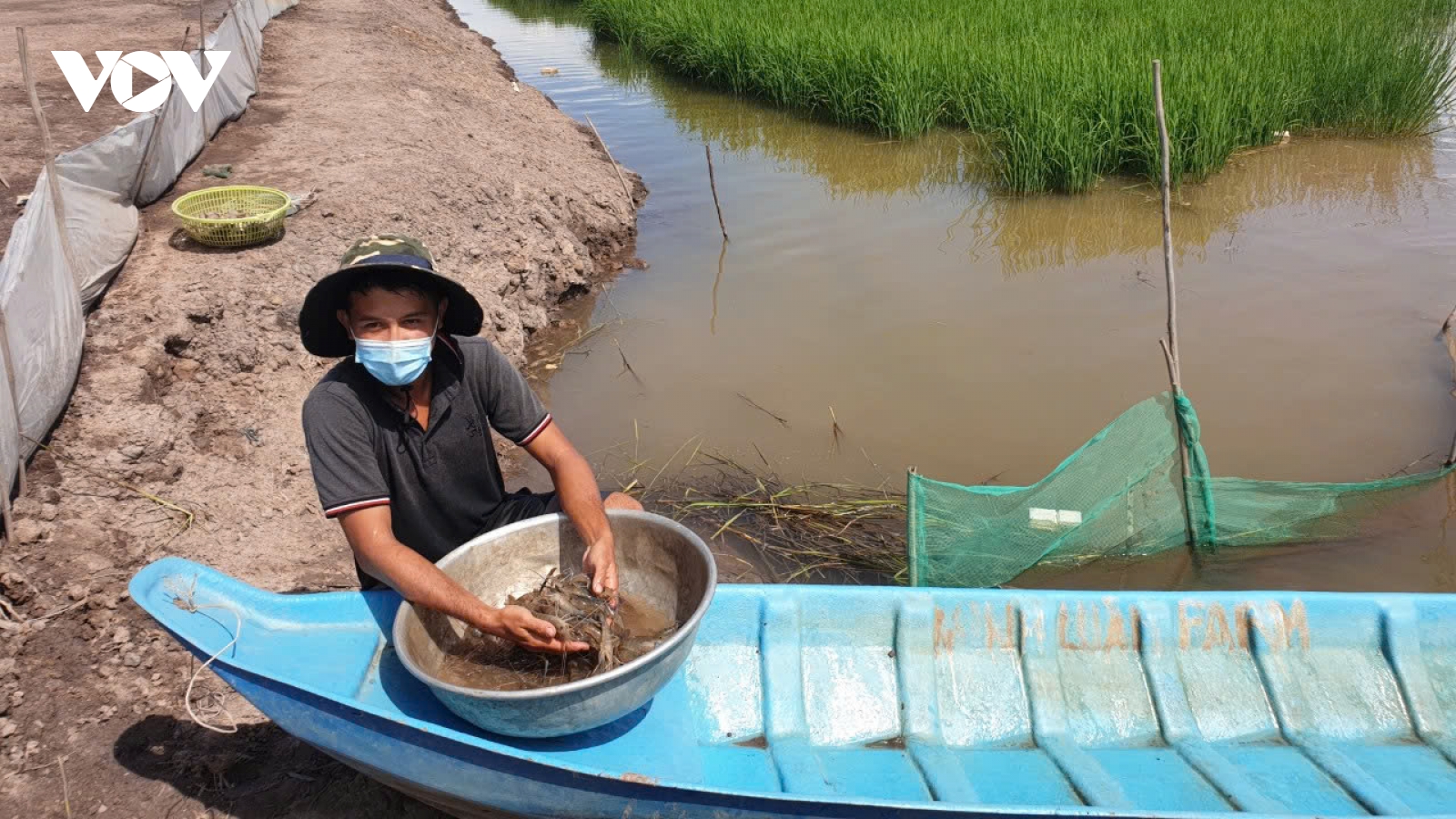 Chuyển đổi xanh, kinh tế tuần hoàn trong nuôi trồng thủy sản ở vùng ĐBSCL