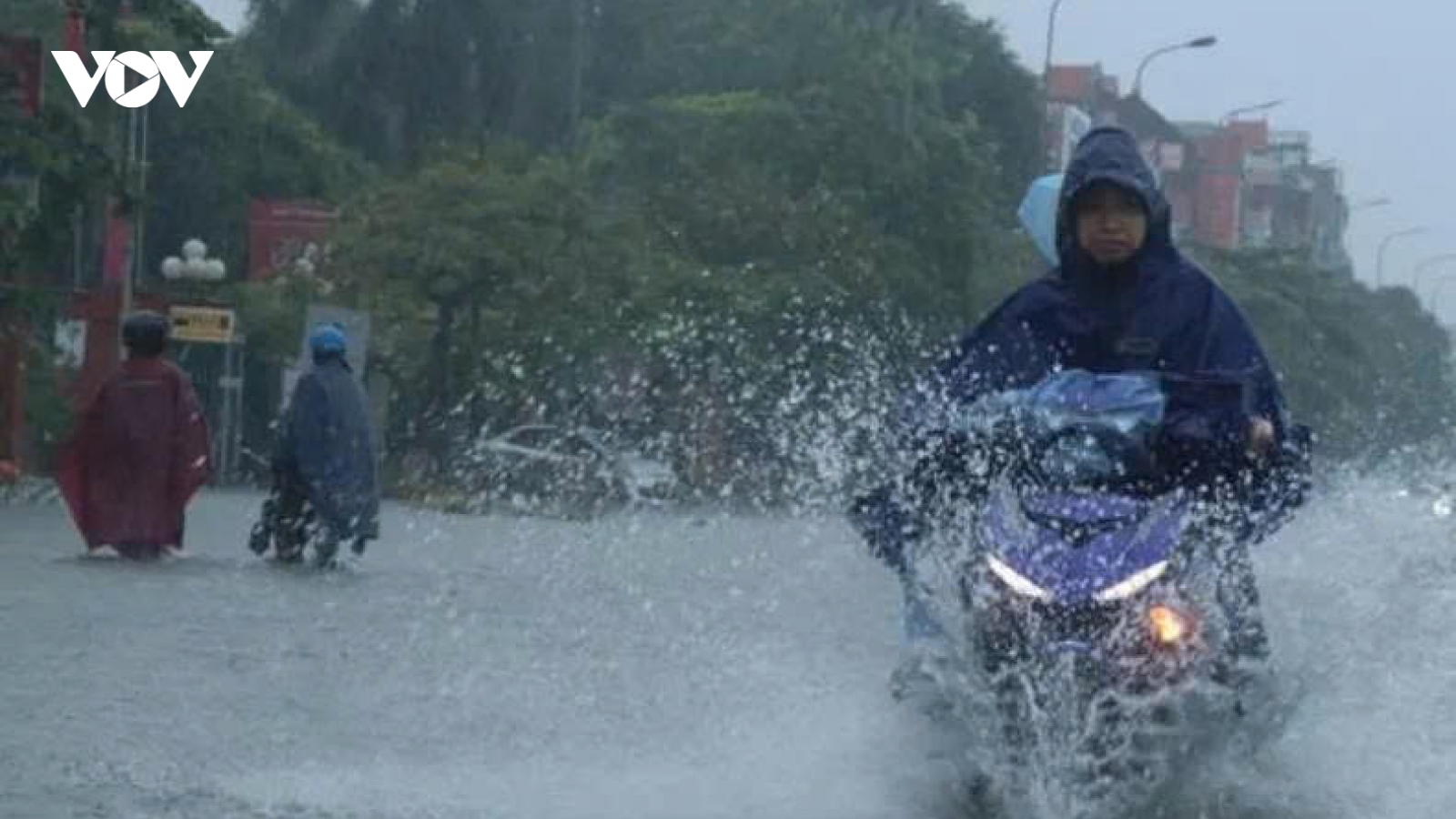 Mưa lớn ở Đông Bắc Bộ, Phú Thọ và Thanh Hóa, cảnh báo ngập úng và sạt lở