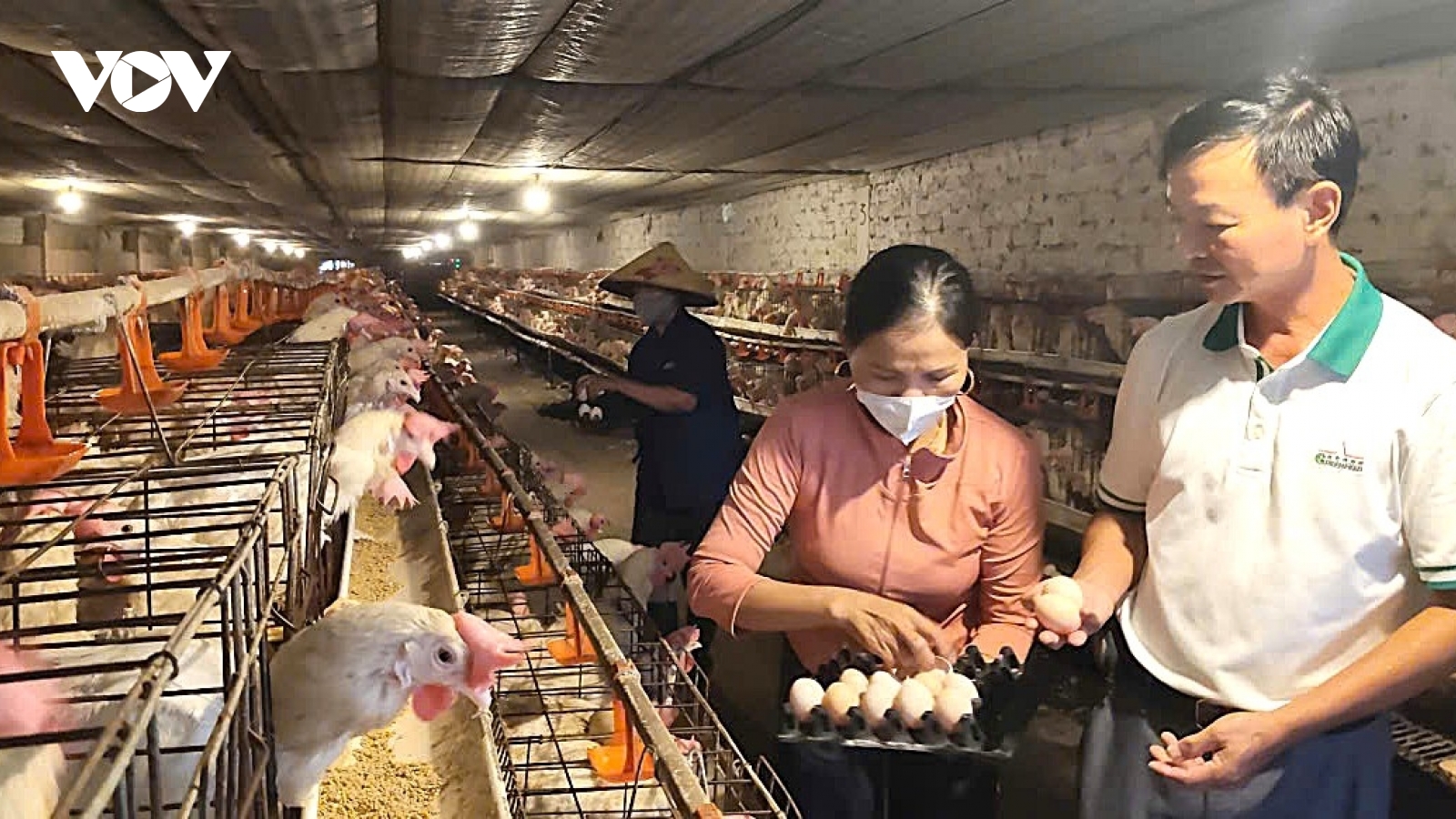 Con đường thành tỷ phú của “Nông dân Việt Nam xuất sắc” năm 2025