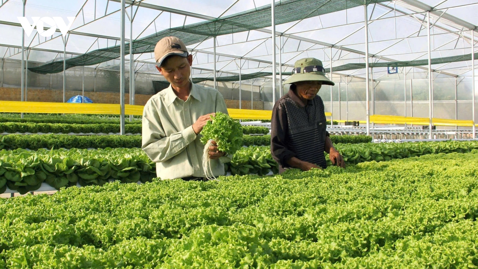 Sáng mãi tinh thần Cách mạng Tháng Tám – Lâm Đồng vững bước dựng xây tương lai