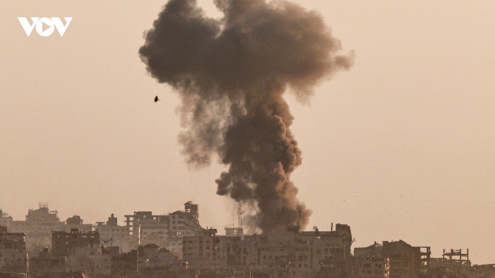 Người dân Israel phản đối, quốc tế phẫn nộ với chiến dịch tấn công thành phố Gaza