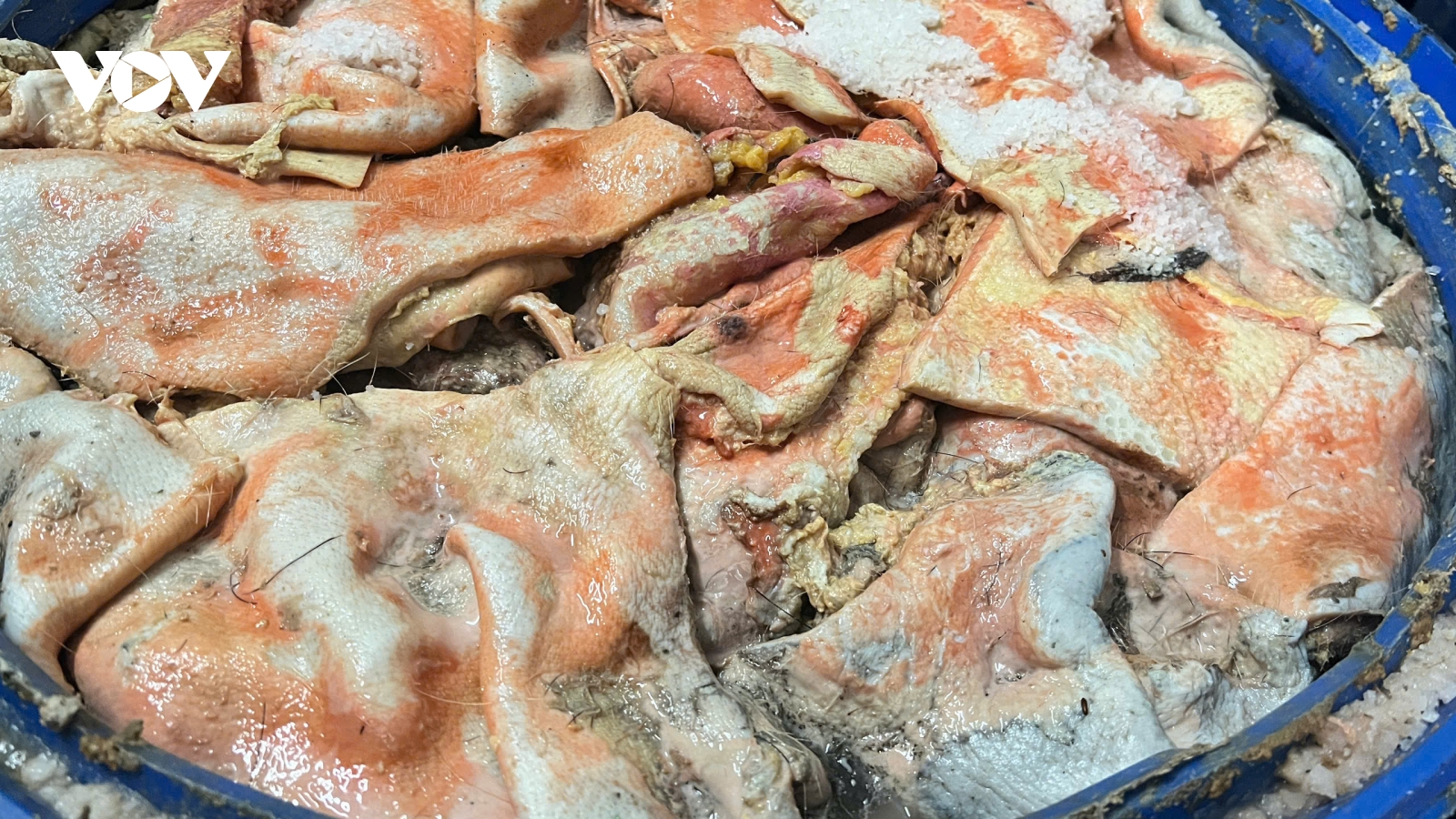 Phát hiện cơ sở sản xuất lạp xưởng quy mô lớn, nguyên liệu bốc mùi hôi thối