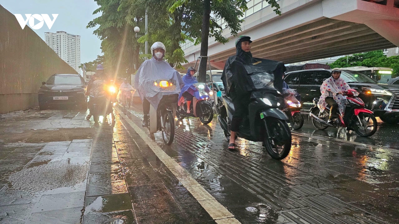 Thời tiết hôm nay 29/9: Bắc Bộ và Thanh Hóa đến Đà Nẵng có mưa to