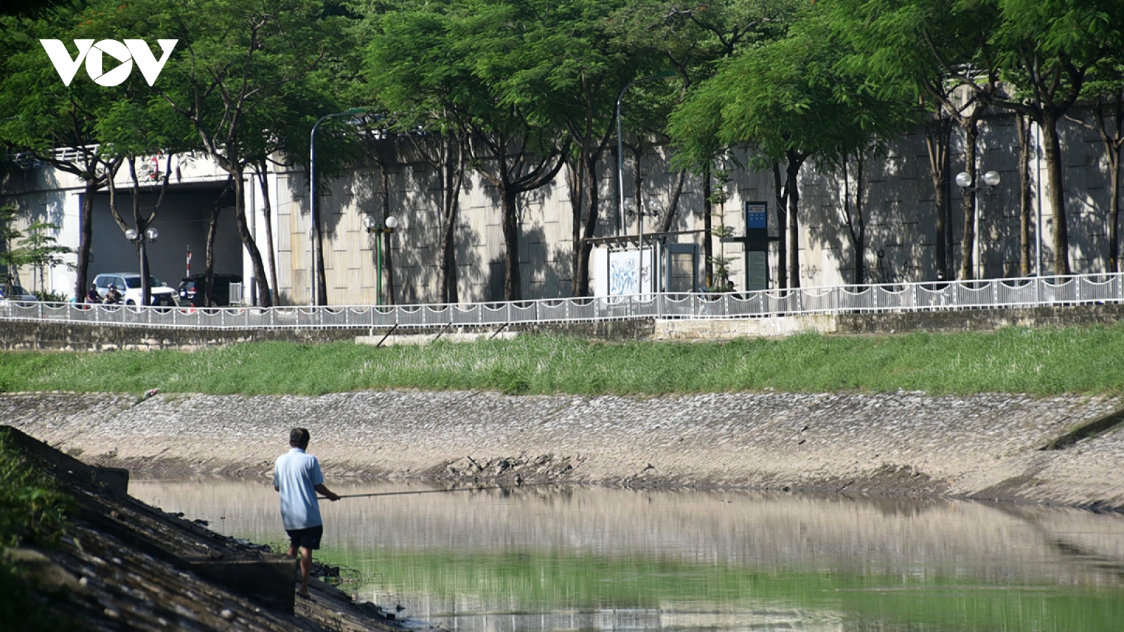 Sông Tô Lịch đã dần xanh trong trở lại