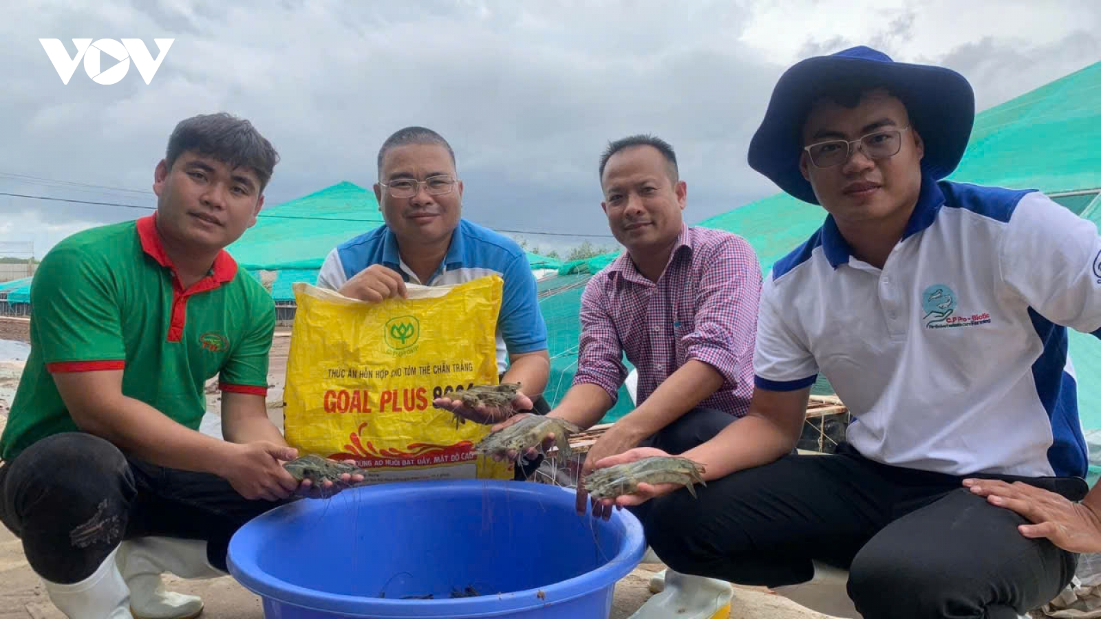 Nuôi tôm công nghệ cao, ngư dân ở Đồng Tháp lãi khoảng 50.000 đồng/kg