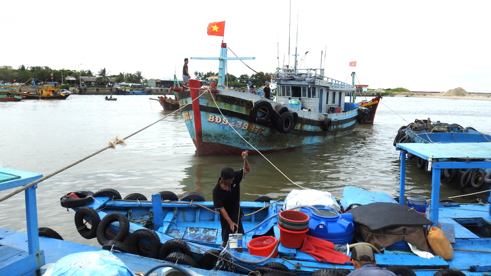 Ngư dân Lâm Đồng bội thu nhờ trúng vụ cá Nam