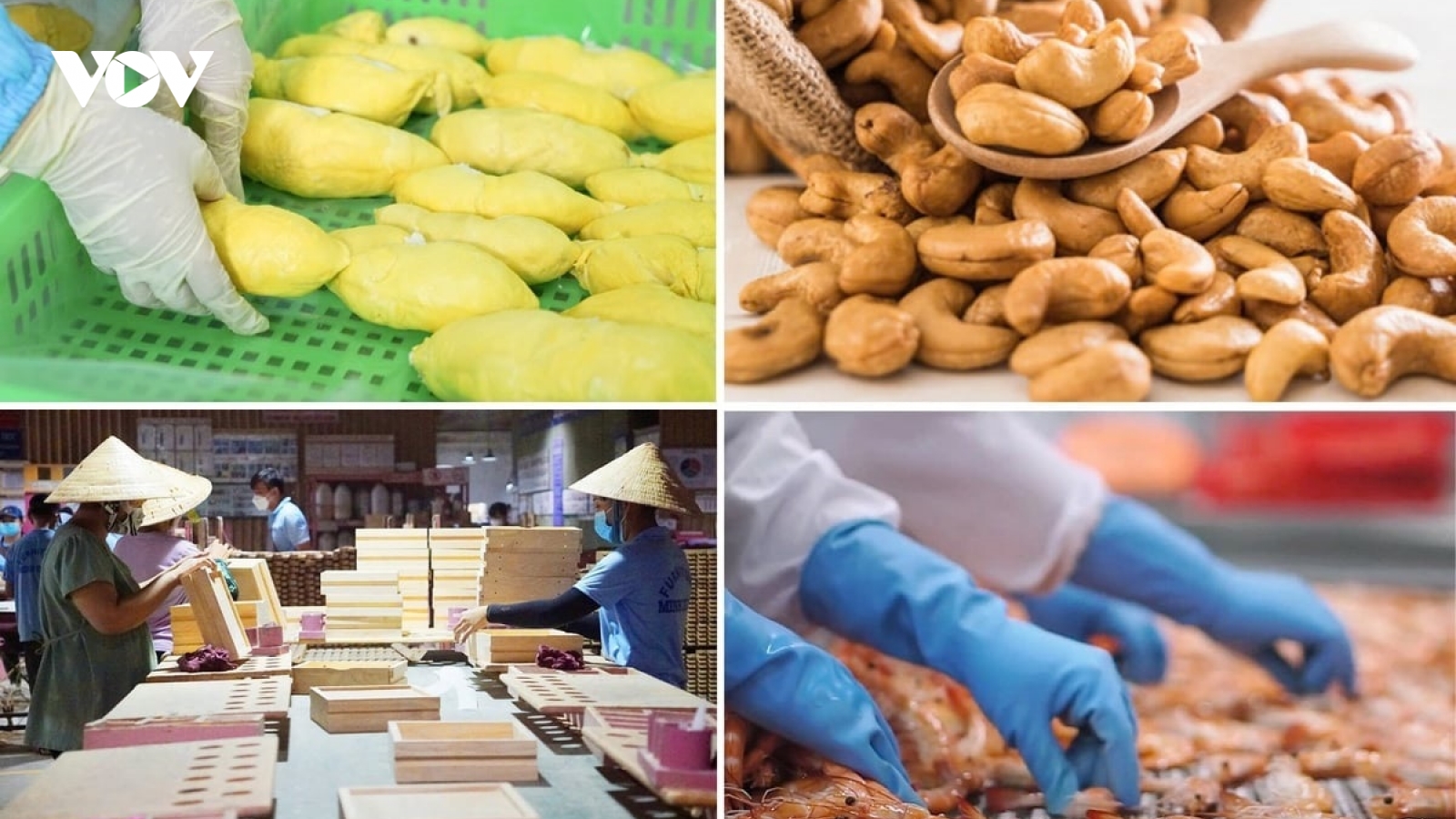 Xuất khẩu nông lâm thủy sản 8 tháng đạt 45,37 tỷ USD, tăng 12%
