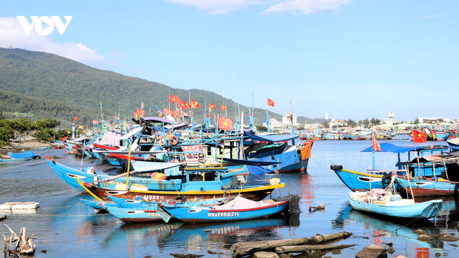 Đà Nẵng phát triển nghề cá hiện đại, xanh và bền vững