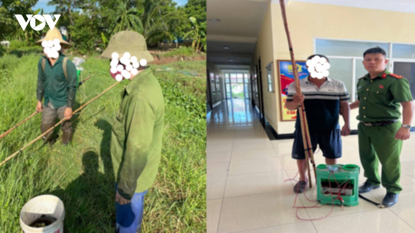 Bắt cá bằng kích điện, 3 người ở Chương Mỹ, Hà Nội bị xử phạt, tịch thu đồ nghề