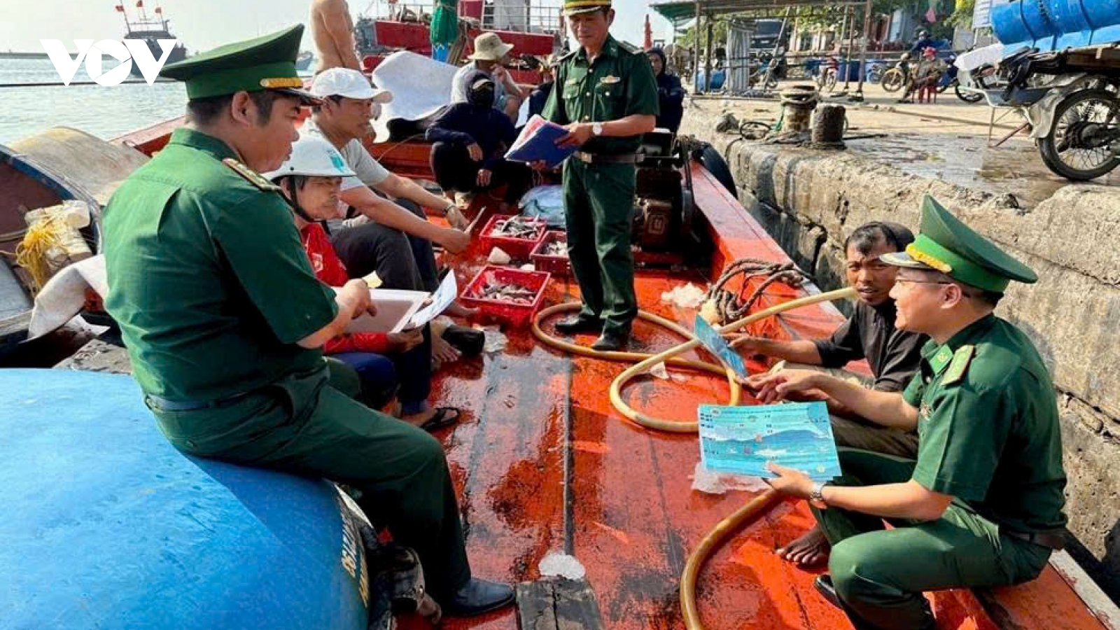 Ngư dân Lý Sơn vững nghề biển
