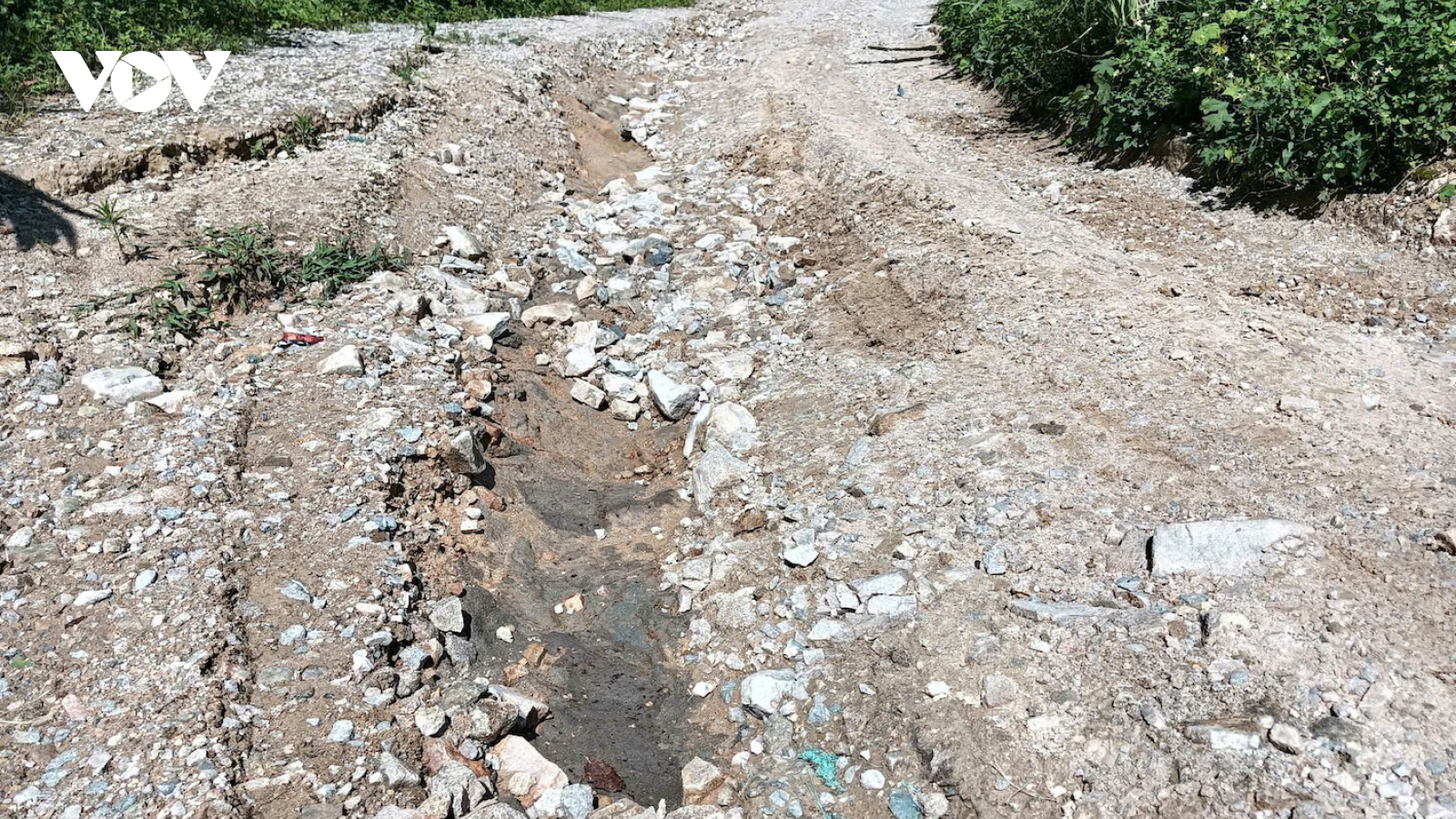 Quảng Ngãi đề nghị Thủy điện Đăk Đrinh sớm hoàn thành đường tránh ngập