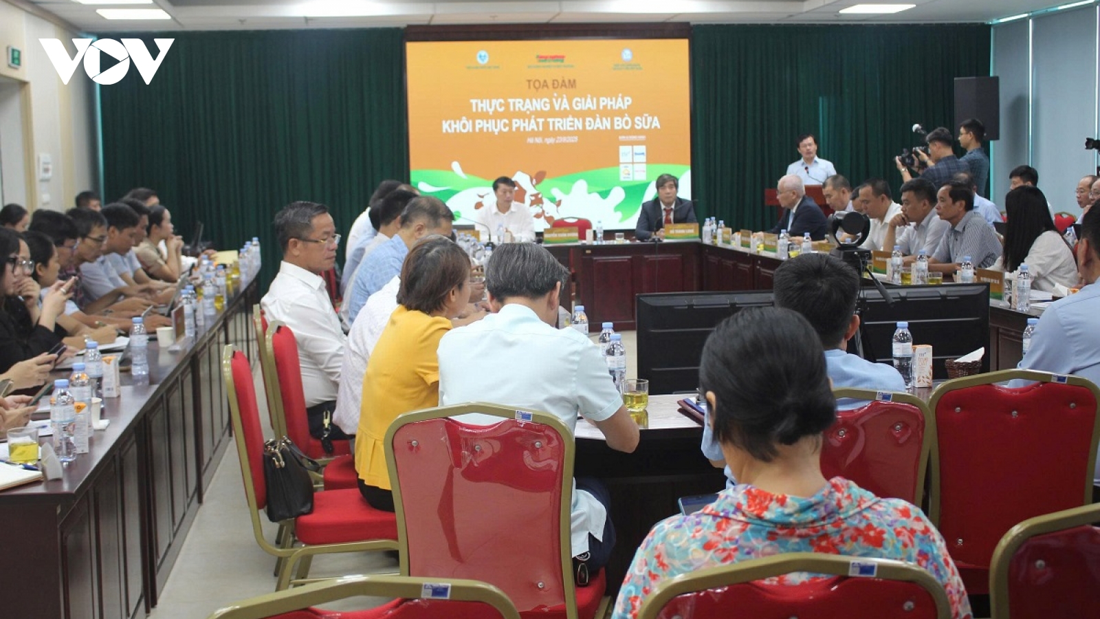 Đàn bò sữa sụt giảm mạnh, người chăn nuôi chịu nhiều áp lực