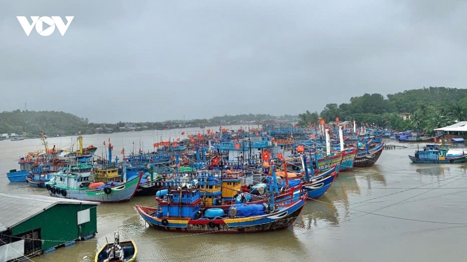 Chủ tàu cá ở Quảng Ngãi bị tước chứng chỉ, phạt 680 triệu đồng vì nhiều vi phạm