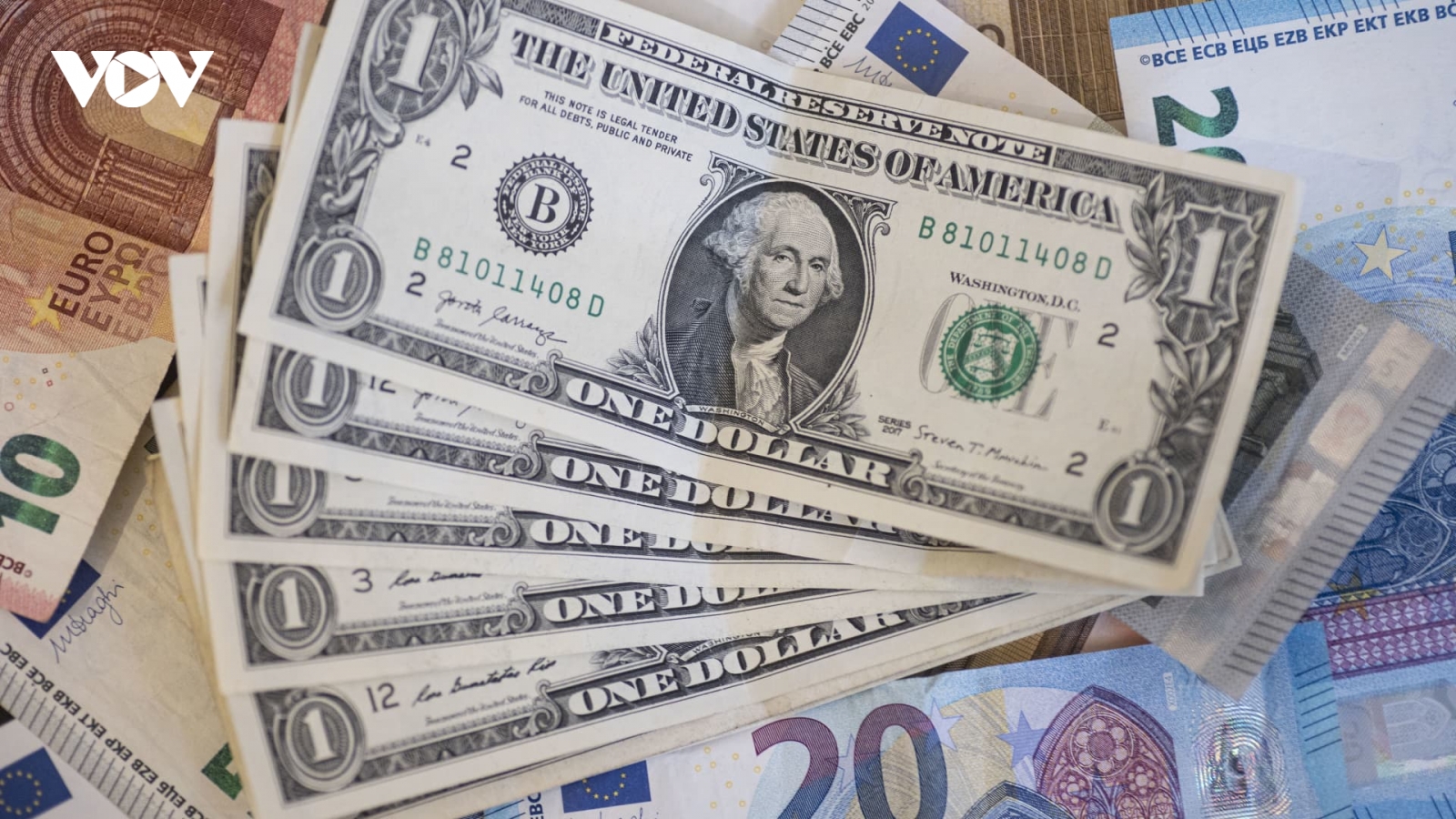 Tỷ giá USD hôm nay 9/10: Tỷ giá trung tâm giảm về mốc 25.130 đồng/USD
