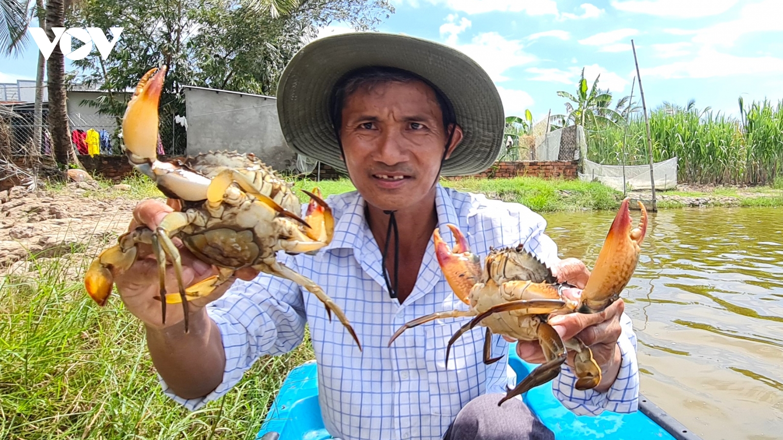 Cà Mau liên kết tăng sản lượng xuất khẩu cua