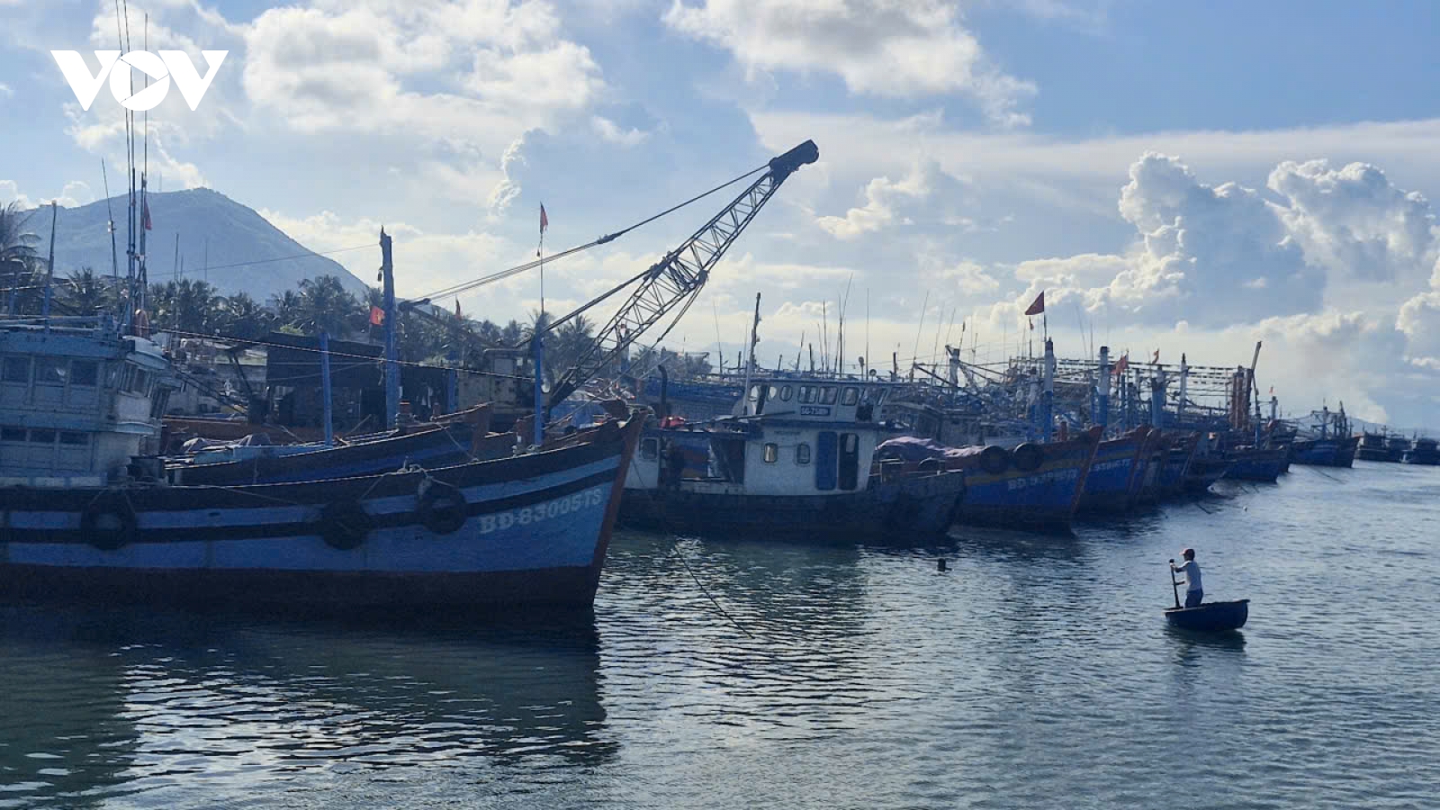 Gia Lai siết chặt quản lý tàu cá, quyết liệt chống khai thác bất hợp pháp (IUU)