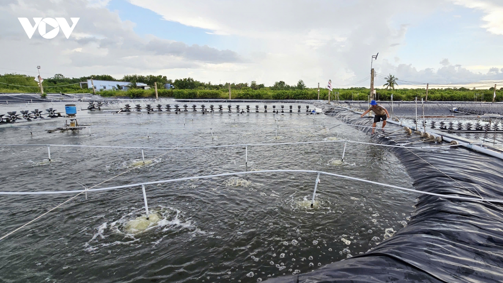 Cà Mau: Đại hội Đảng lần I quyết tâm đạt tăng trưởng “2 con số”