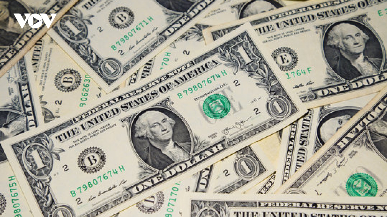 Tỷ giá USD hôm nay 11/10: Giá bán USD dừng ở mốc 26.384 đồng/USD