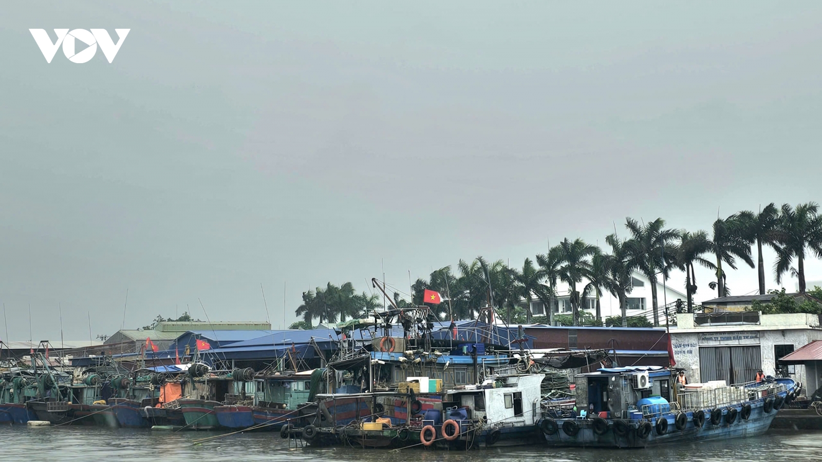 Hải Phòng triển khai các biện pháp ứng phó với bão Matmo