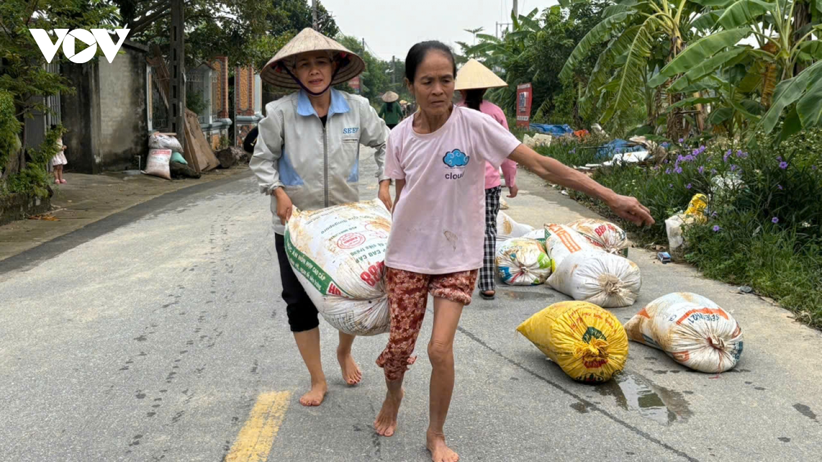 Thóc ướt sũng ngâm nước 3 ngày, người dân vùng lũ nỗ lực cứu vớt từng hạt