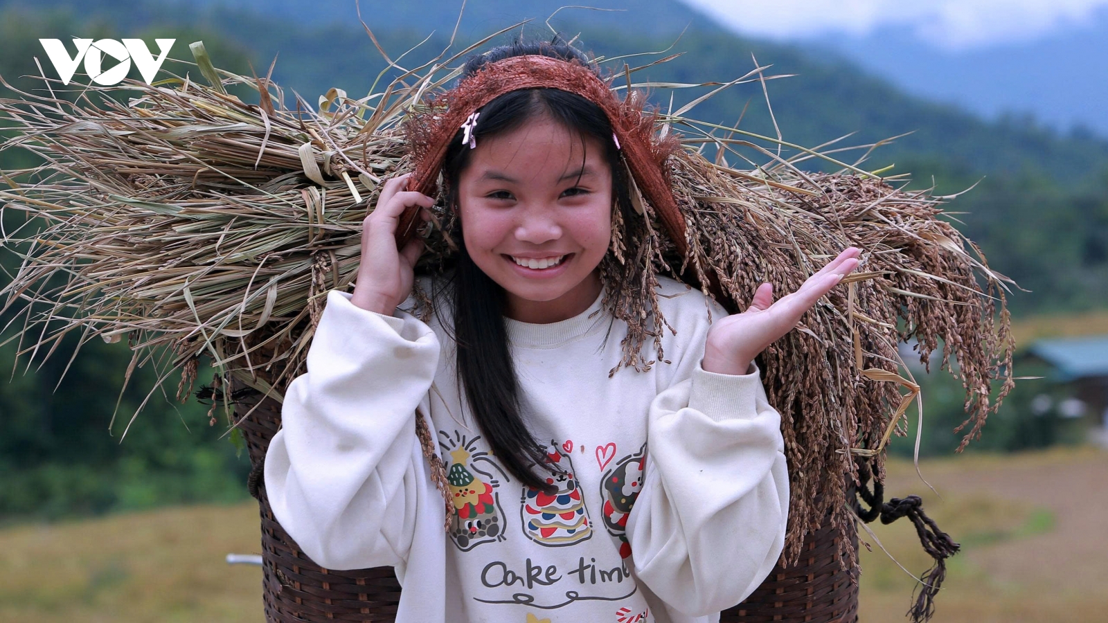 Hương nếp Cay Nọi giữa mùa vàng Quang Chiểu