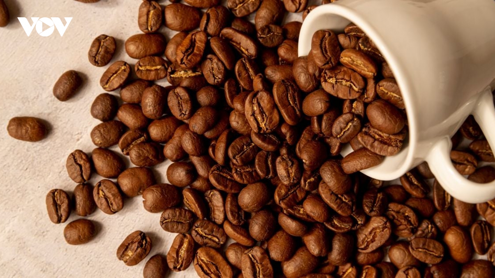 Giá cà phê hôm nay 4/10: Giá cà phê trong nước giảm 2.300 đồng/kg