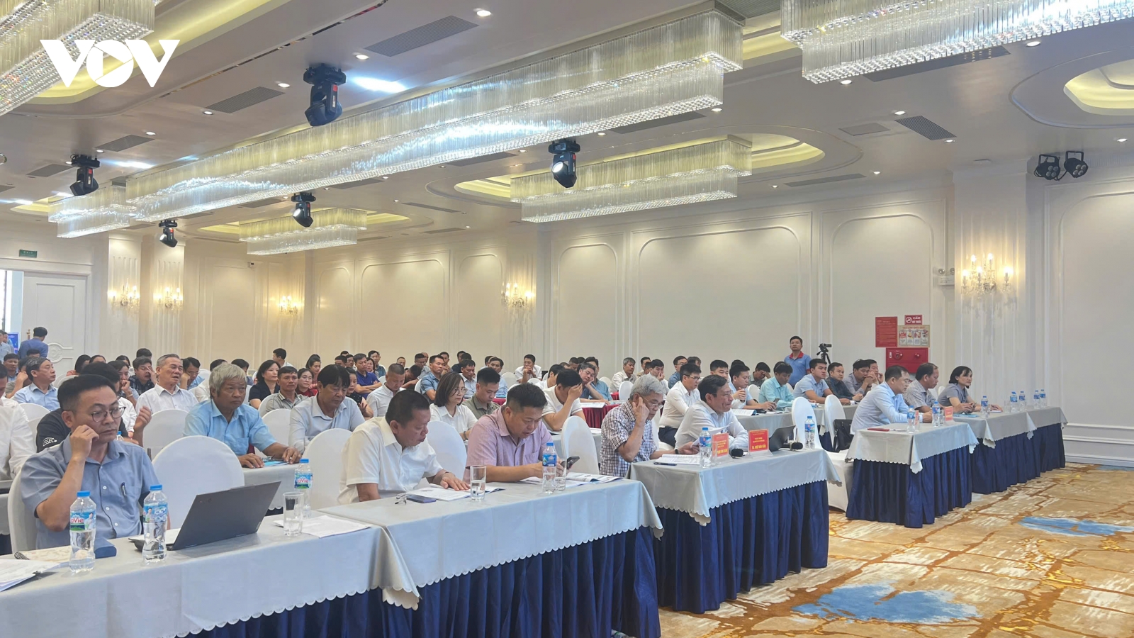 Kim ngạch xuất khẩu cá rô phi tăng đột biến