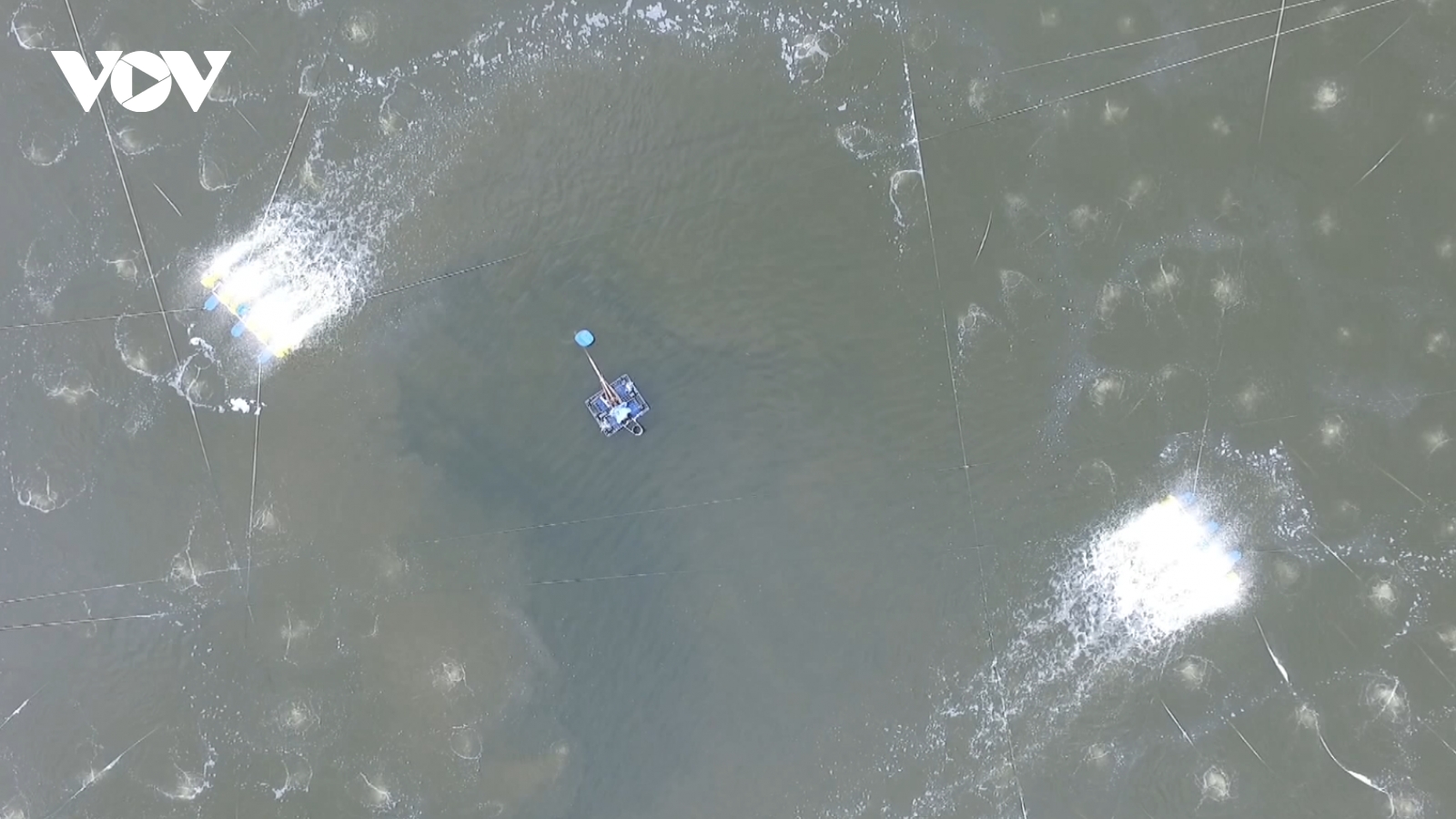 Tạo hệ sinh thái chính sách cho quá trình chuyển đổi xanh