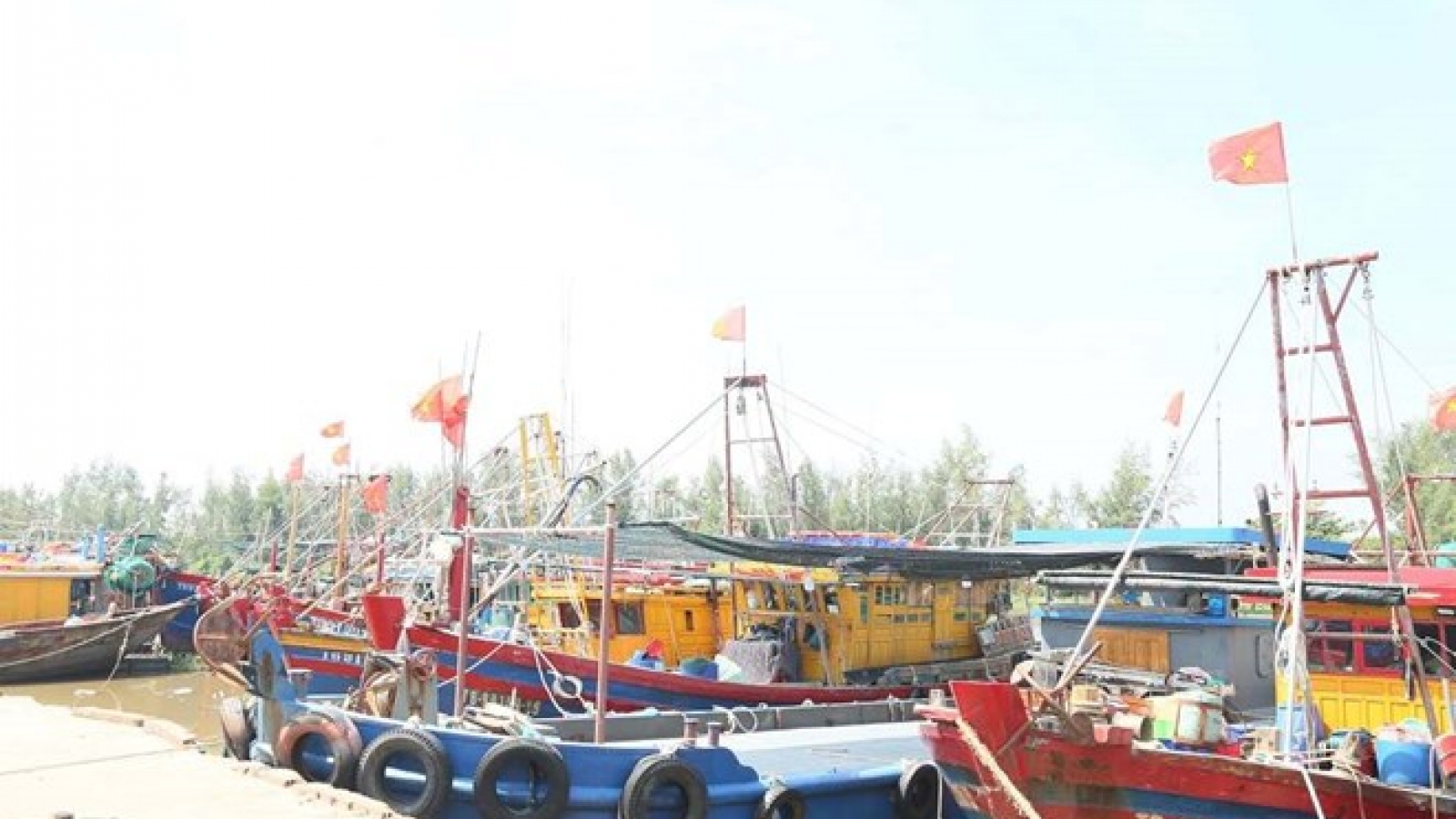 Hưng Yên cấm biển, rà soát các công trình ven đê trước bão số 11