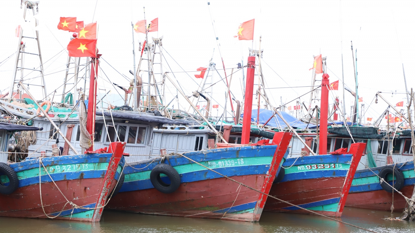 Ninh Bình quyết liệt triển khai “Tháng cao điểm chống khai thác IUU”