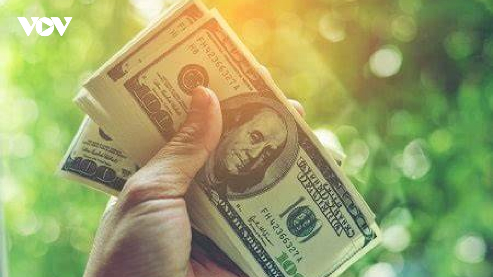 Tỷ giá USD hôm nay 2/10: Tỷ giá trung tâm giảm còn 25.177 đồng/USD