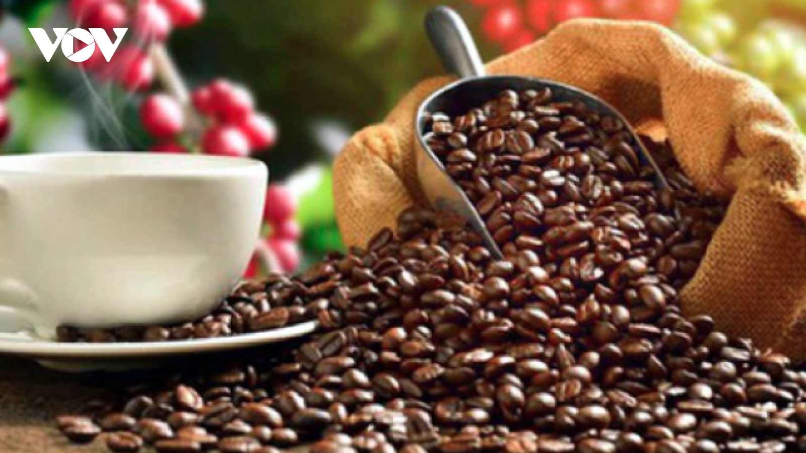 Agro-forestry-fishery exports exceed US$52 billion in nine months