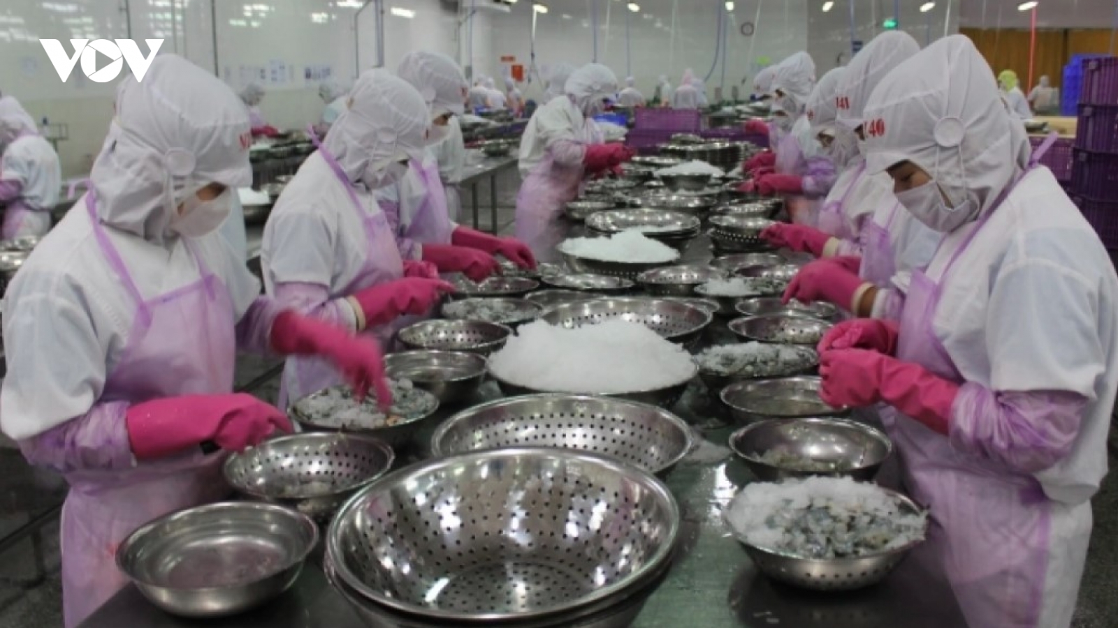 Vietnam remains third-largest seafood supplier to Singapore