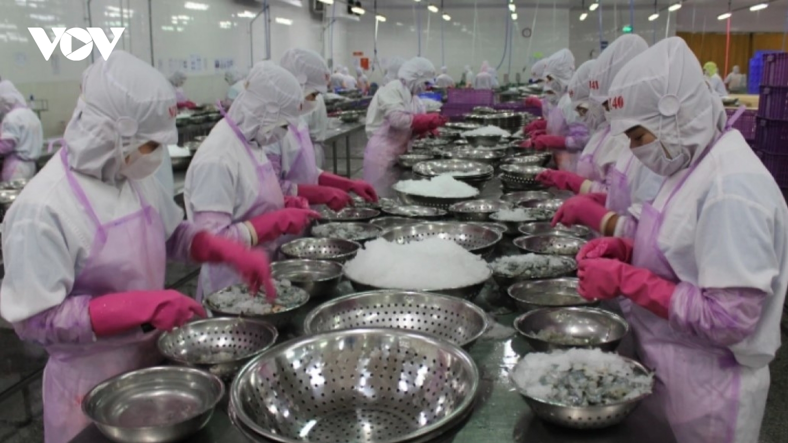 Vietnam remains third-largest seafood supplier to Singapore